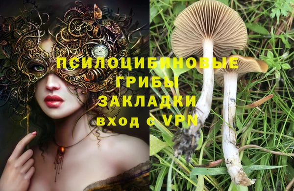 гашик Козловка