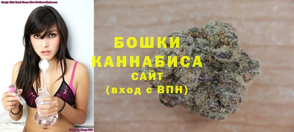 дурь Козельск