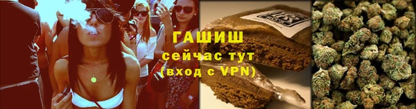 гашик Козловка