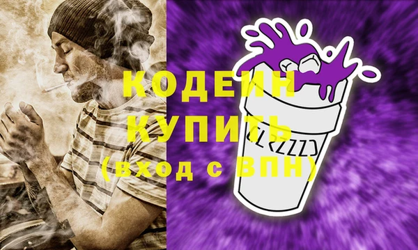 СК Кодинск