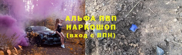 гашик Козловка