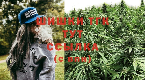 СК Кодинск