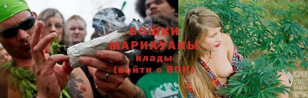 гашик Козловка