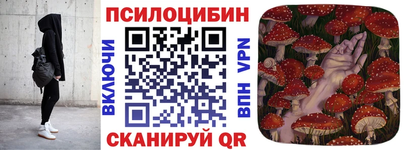 Псилоцибиновые грибы Psilocybine cubensis  Купить закладки  Курлово 
